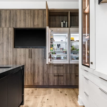 Built-In Television Monitor