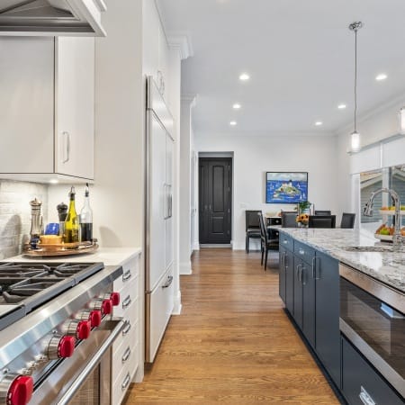 Professional Stove and Island