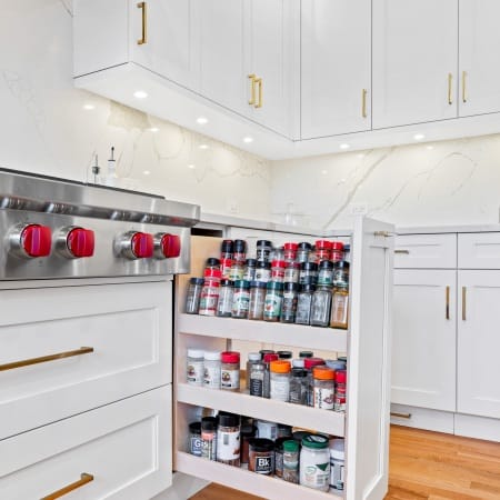 Spice Rack Pull Out Storage and Quartz Backsplash
